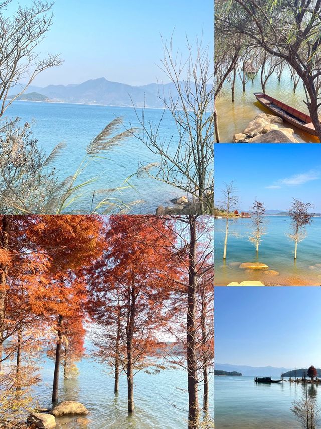 郴州2日遊｜超詳細攻略 玩轉不迷路