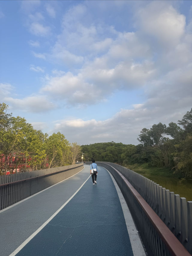 觀瀾湖綠道的心靈之旅