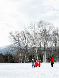不得不說，全家一起滑雪，北海道TOMAMU真的是絕了