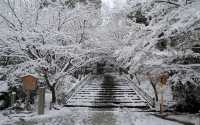 【京都· 龍安寺雪景·2025】