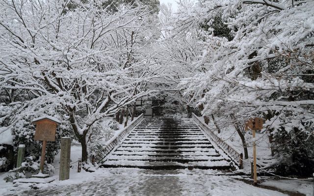 【京都· 龍安寺雪景·2025】