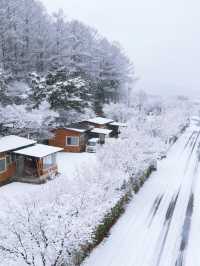 3日暢遊日本 盡享溫泉之旅