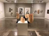 Cairns Art Gallery