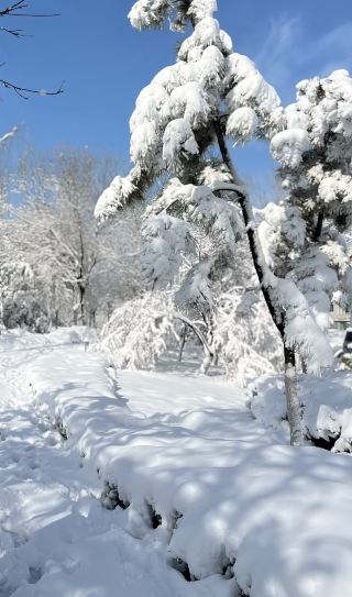 The First Snow of 2025~Stunningly Beautiful!