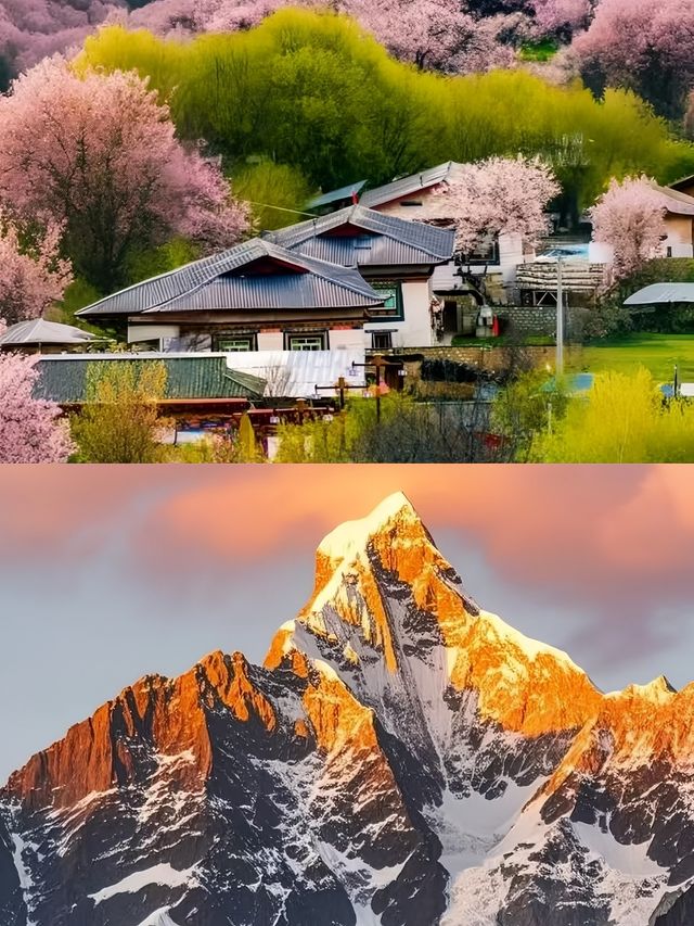 3月的林芝，真的是人間理想。