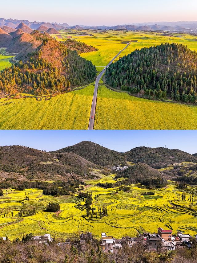 2025滇東南油菜花小眾賞花路線最新攻略