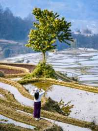 2025滇東南油菜花小眾賞花路線最新攻略