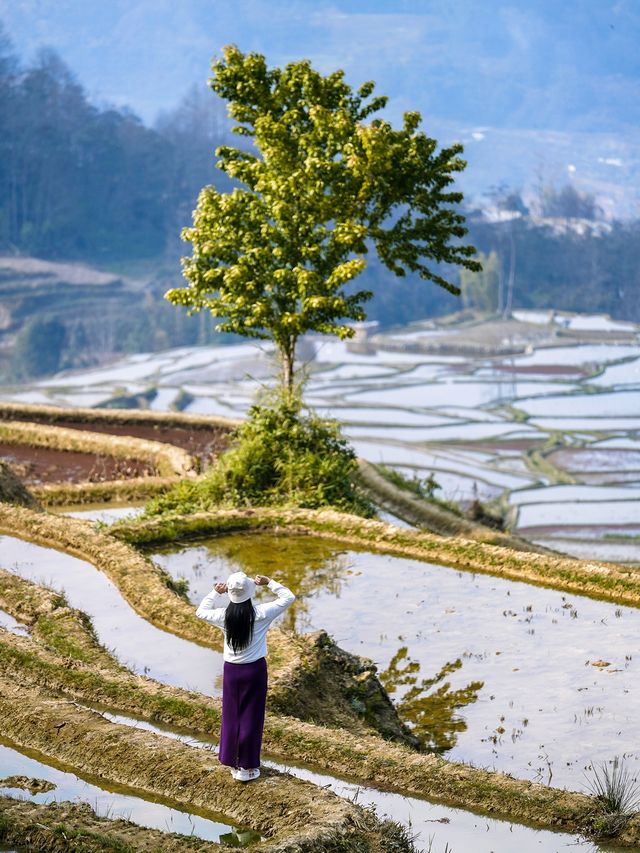 2025滇東南油菜花小眾賞花路線最新攻略