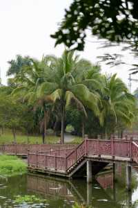 瓊中濕地公園——自然與詩意的邂逅