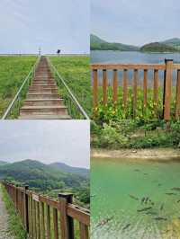 解鎖坡州：小眾寶藏旅行地