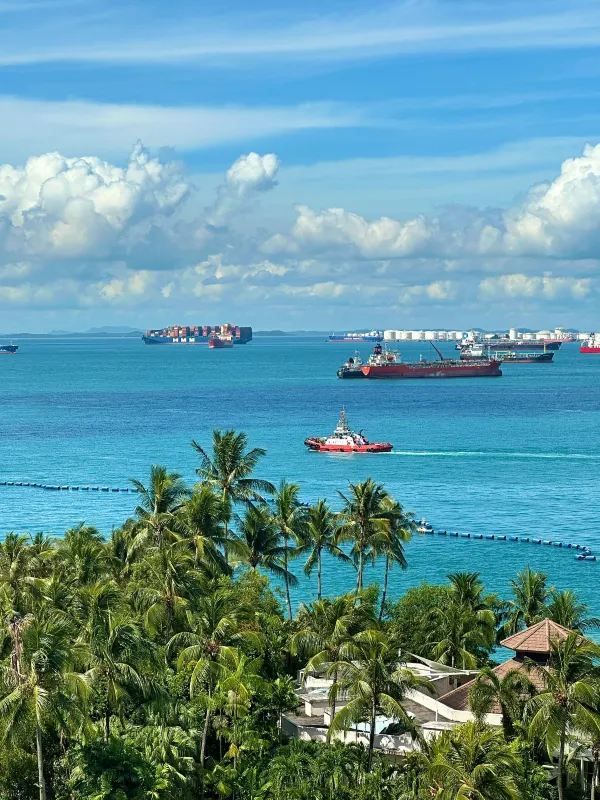 Enjoy a Relaxing Day at Sentosa Beach