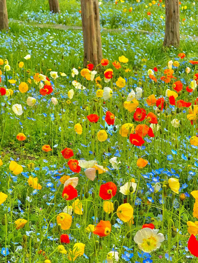4月必打卡免費公園賞花拍照📸