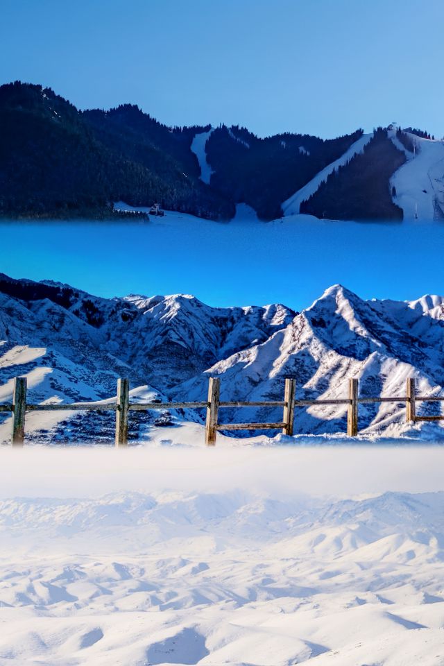 瑞雪谷：澳洲的冬日夢幻王國