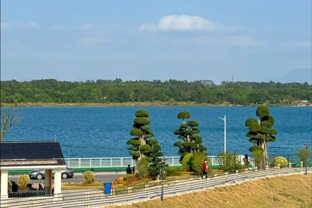 露天礦生態公園舒適景點