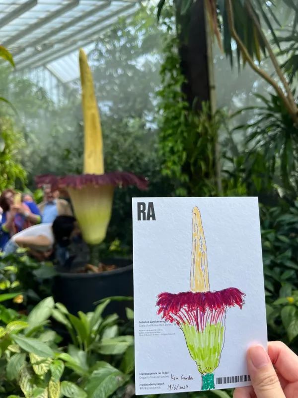 Witness the Blooming of the Corpse Flower!