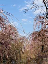 克羅地亞等多國10日深度遊 超讚攻略