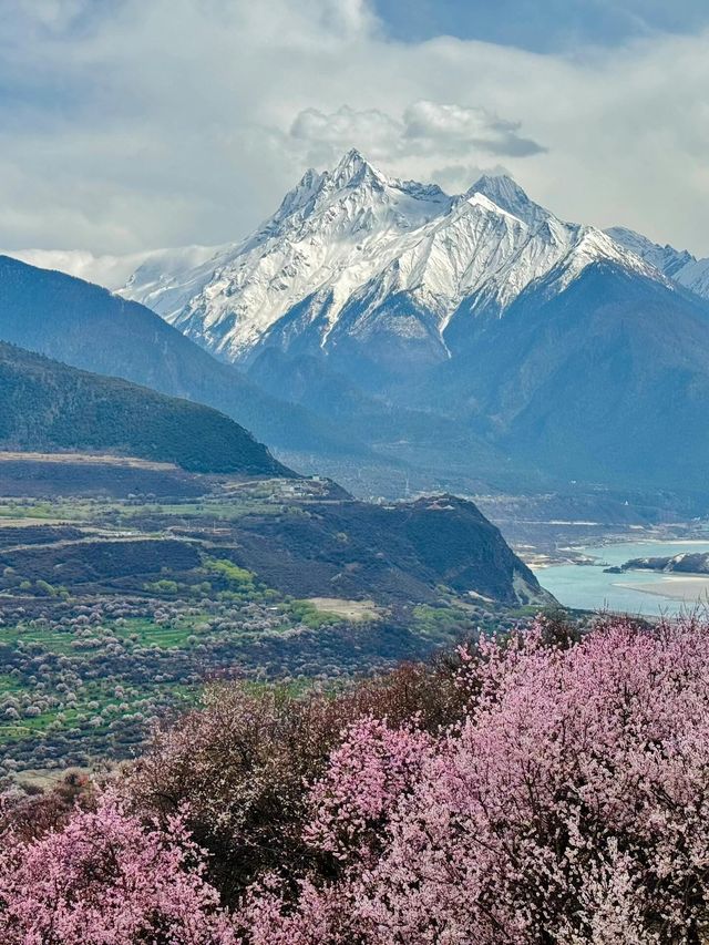 林芝—波密森林之旅 讓你體驗不一樣的自然之美