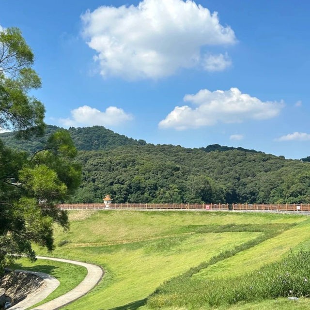 🌄廣州白雲山，城市中的天然氧吧🌿