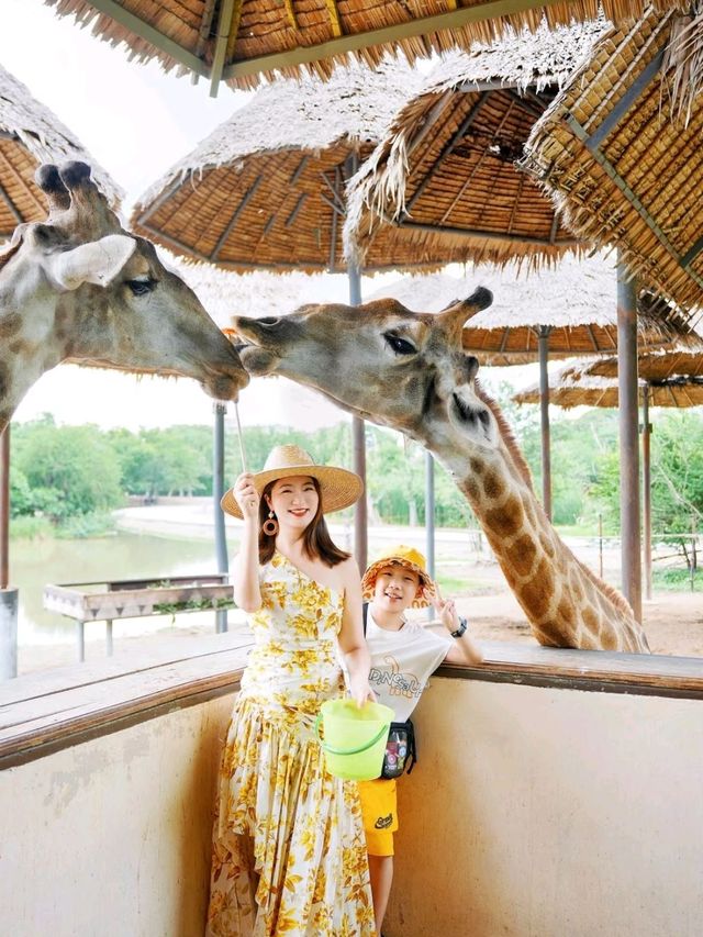 Safari World Bangkokis such an awesome world❤️🤍
