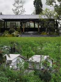成都入住森林小屋