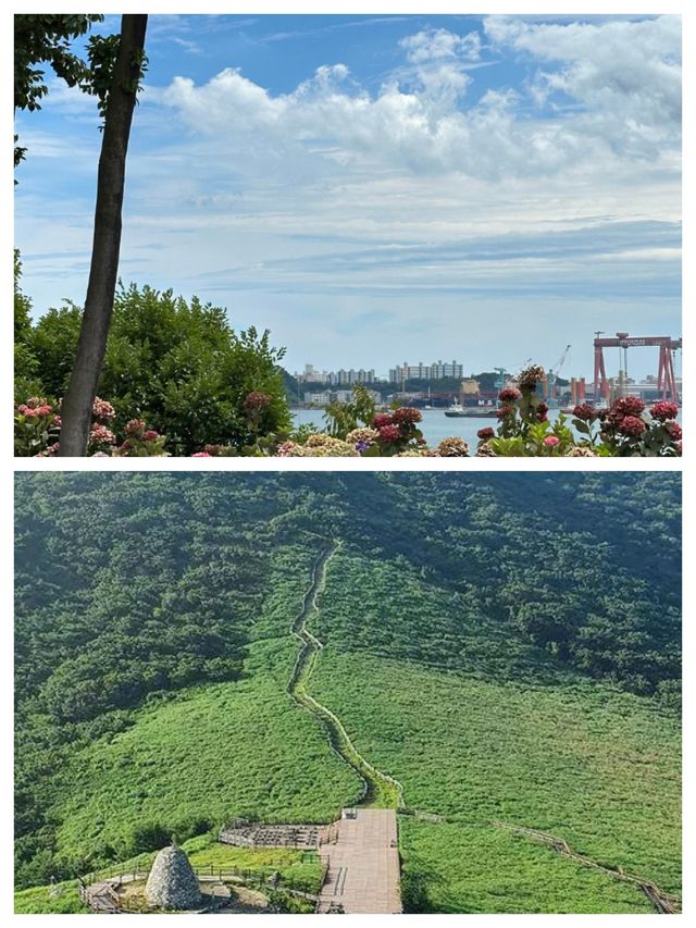 解鎖韓國隱世桃源蔚山，比首爾更懂生活美學的寶藏小城】
