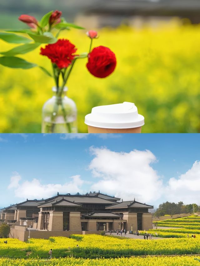 我宣布！這裡是成都最美的春天！