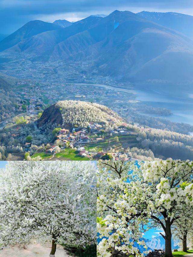 金川｜4-5月旅遊寶藏地，保姆級攻略！