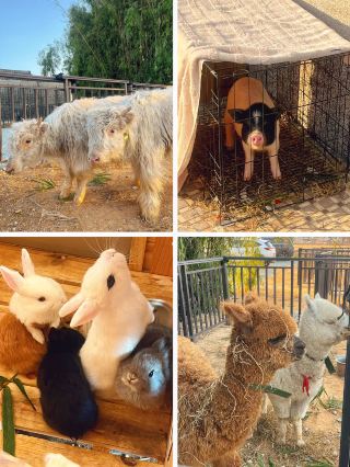Jiangmen 2-Day Trip: You'll Thank Me After Reading This