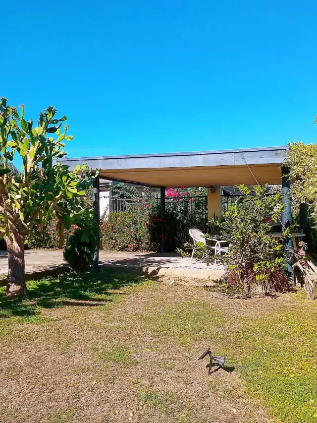 Fiji 8-Day Tour: Visa-Free, Direct Flight, and Fun Travel Tips