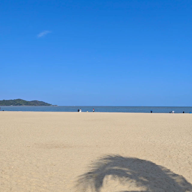 【珠海香爐灣】椰樹打卡之王🌴