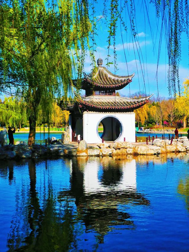 寶子們！錯過陶然亭公園嘅春日浪漫，真係會喊㗎