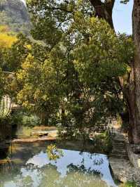 黃櫟硐古村落風景
