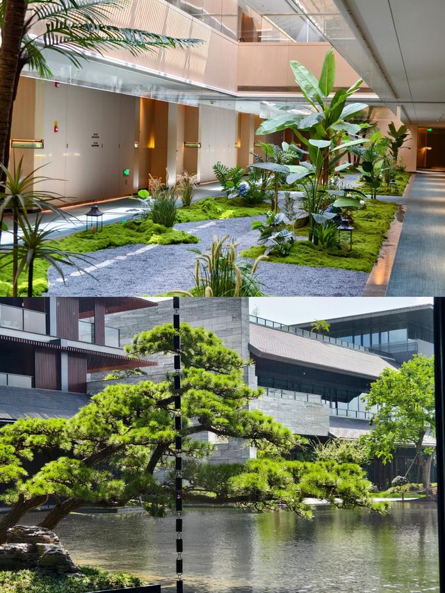 在常州發現一家寶藏酒店，性價比超高