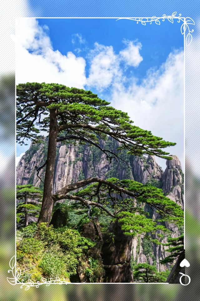 黃山文藝旅行指南/水墨徽州，雲端漫步