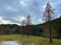 挖到寶了！深圳恩上水庫公園超絕攻略