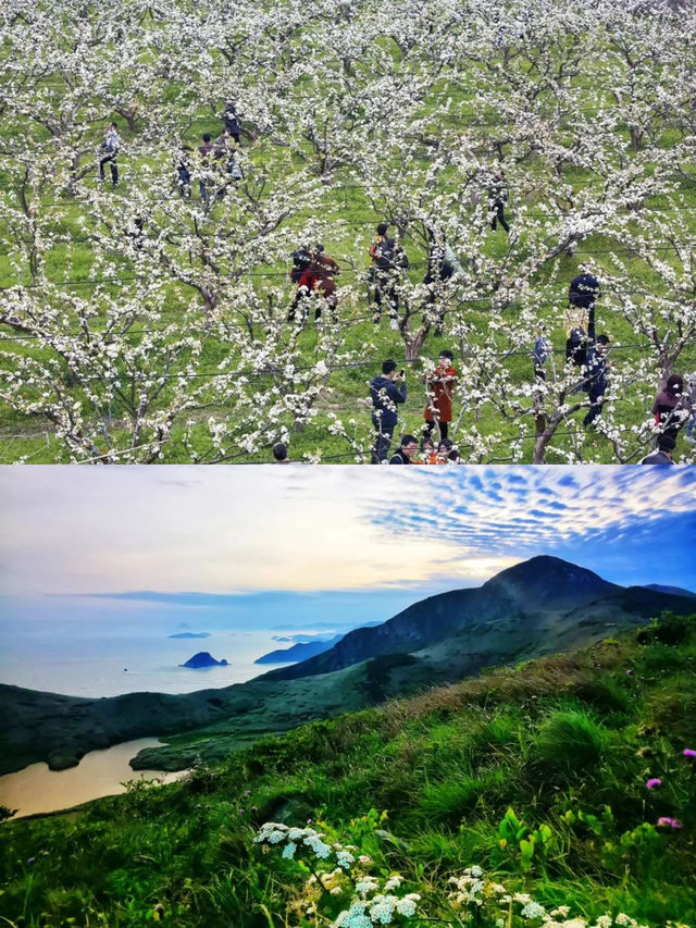 春天就要去「村」遊！福建寶藏村落等你來玩