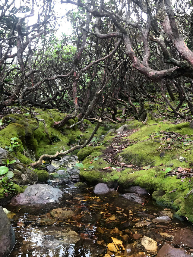 西昌小相嶺徒步 |花海墨湖·彝寨煙火