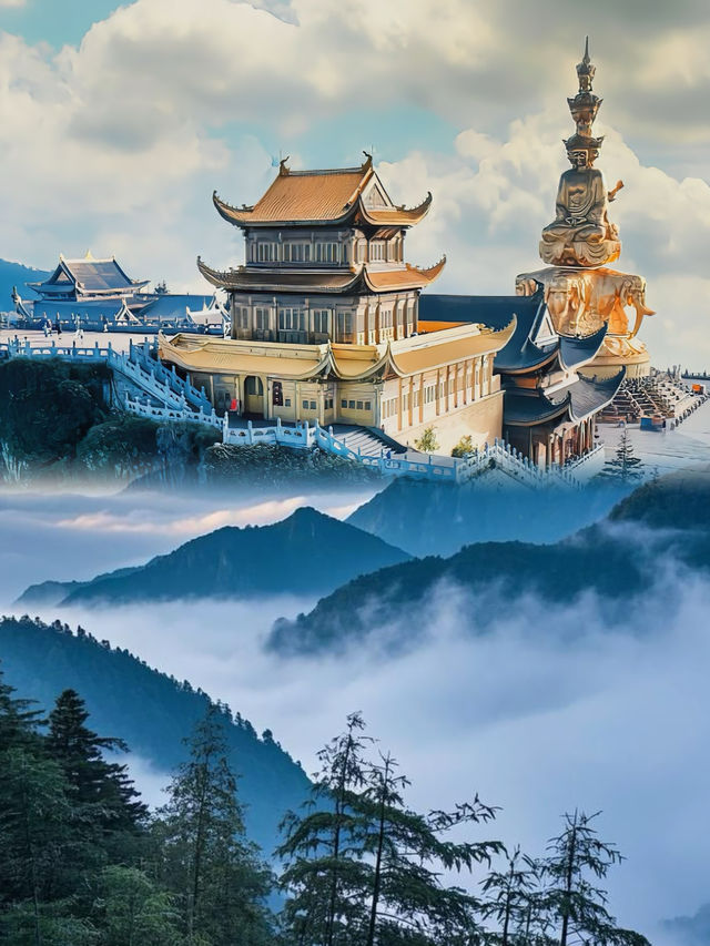 希望與你分享的世間美好又多了新的一頁
