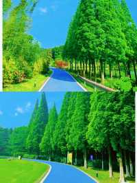 宜興旅遊文案與攻略——陶都竹海，詩意江南