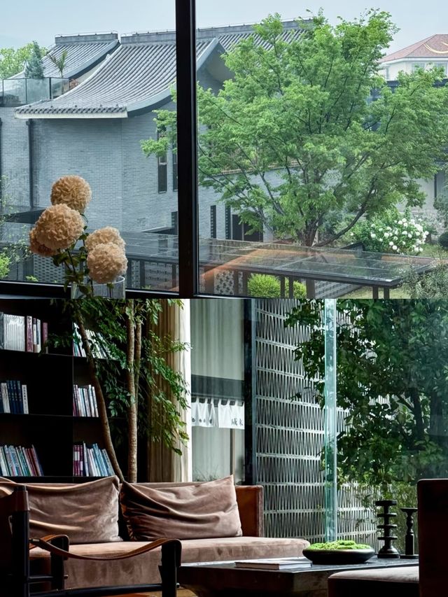 宜興|在萬畝竹海間泡湯療癒