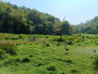 太陽河原始森林公園