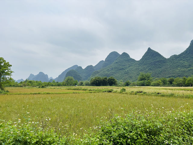 桂林之旅