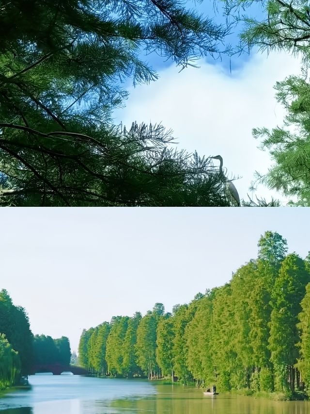 興化玩咗兩日，我嘅消費觀崩塌咗