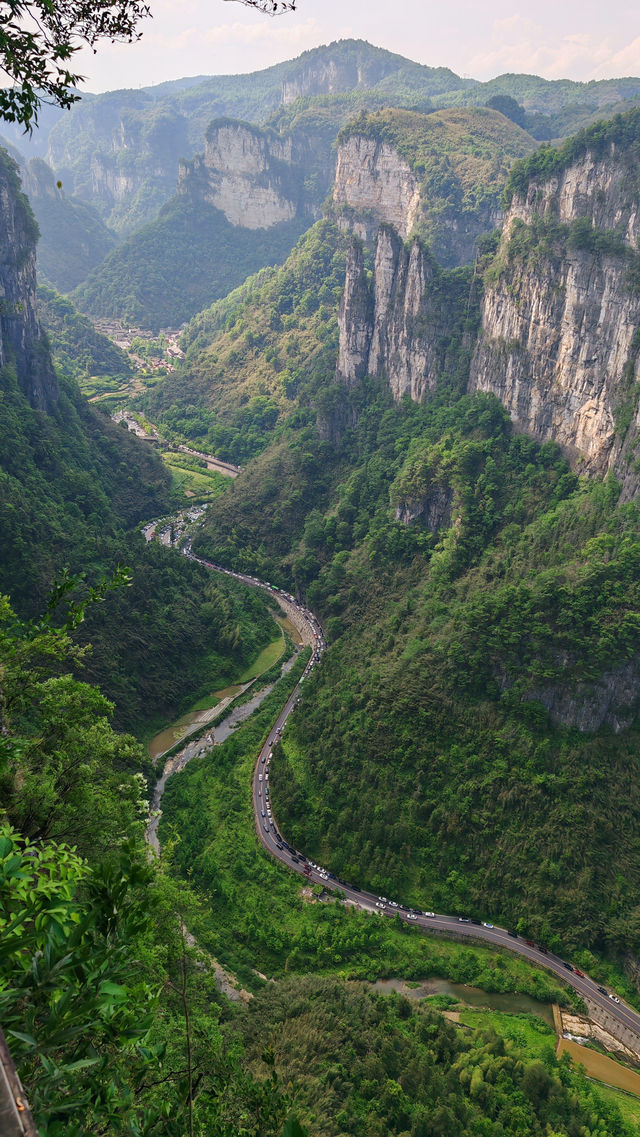 張家界鳳凰之旅
