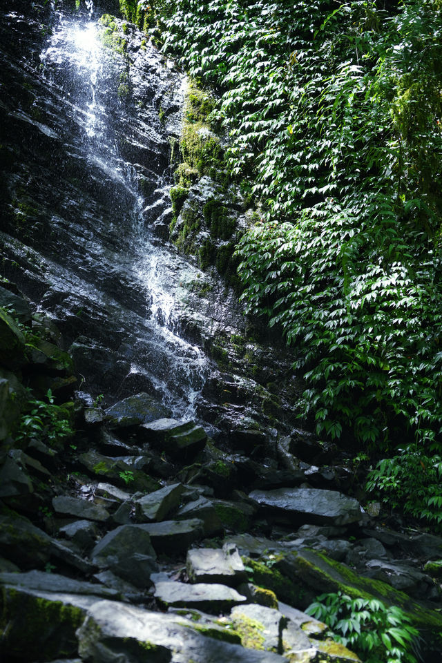 成都周邊免費溯溪玩水地，也是徒步避暑秘境！