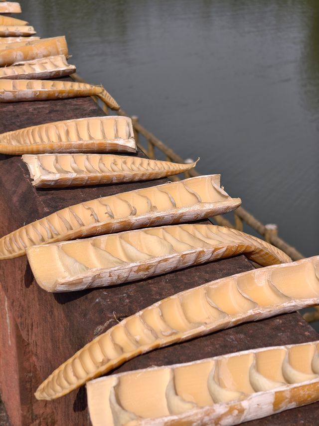 走入赤水“綠色海洋”暢玩竹海森林公園