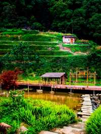 追星嶺南：在阿婆六的茶香裡，接住銀河碎片