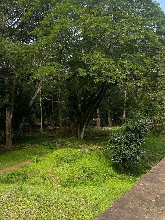 初遊吳哥窟，一次美到窒息的柬埔寨之旅 