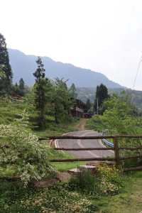 雅安碧峰峽！住進風景絕佳嘅柴火私湯目的地