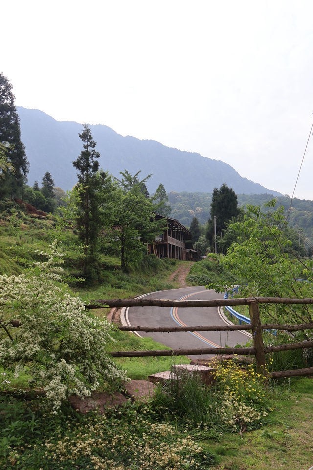 雅安碧峰峽！住進風景絕佳嘅柴火私湯目的地